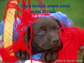 Que a verdade sempre esteja acima de tudo. 
