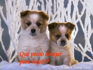 Que posso desejar  para hoje??? 