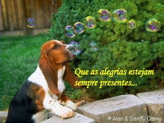 Que as alegrias estejam  sempre presentes... 