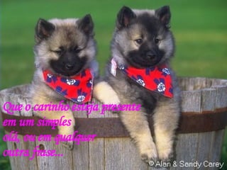 Que o carinho esteja presente  em um simples olá, ou em qualquer  outra frase... 