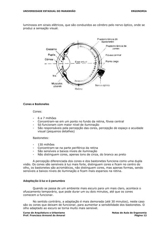 UNIVERSIDADE ESTADUAL DO MARANHÃO ERGONOMIA
luminosos em sinais elétricos, que são conduzidos ao cérebro pelo nervo óptico, onde se
produz a sensação visual.
Cones e Bastonetes
Cones:
- 6 a 7 milhões
- Concentram-se em um ponto no fundo da retina, fóvea central
- Só funcionam com maior nível de iluminação
- São responsáveis pela percepção das cores, percepção de espaço e acuidade
visual (pequenos detalhes)
Bastonetes:
- 130 milhões
- Concentram-se na parte periférica da retina
- São sensíveis a baixos níveis de iluminação
- Não distinguem cores, apenas tons de cinza, do branco ao preto
A percepção diferenciada dos cones e dos bastonetes funciona como uma dupla
visão. Os cones são sensíveis à luz mais forte, distinguem cores e ficam no centro do
olho, os bastonetes são acromáticos, não distinguem cores, mas apenas formas, sendo
sensíveis a baixos níveis de iluminação e ficam mais esparsos na retina.
Adaptação à luz e à penumbra
Quando se passa de um ambiente mais escuro para um mais claro, acontece o
ofuscamento temporário, que pode durar um ou dois minutos, até que os cones
comecem a funcionar.
No sentido contrário, a adaptação é mais demorada (até 30 minutos), neste caso
são os cones que deixam de funcionar, para aumentar a sensibilidade dos bastonetes. O
olho adaptado ao escuro se torna muito mais sensível.
Curso de Arquitetura e Urbanismo Notas de Aula de Ergonomia
Prof. Francisco Armond do Amaral Página 12
 