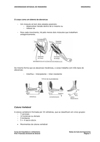 UNIVERSIDADE ESTADUAL DO MARANHÃO ERGONOMIA
O corpo como um sistema de alavancas
- Um músculo só tem dois estados possíveis:
- desenvolver tensão dentro de si mesmo ou
- relaxar-se
- Para cada movimento, há pelo menos dois músculos que trabalham
antagonicamente.
Da mesma forma que as alavancas mecânicas, o corpo trabalha com três tipos de
alavancas:
- Interfixa – Interpotente – Inter-resistente
Coluna Vertebral
A coluna vertebral é formada por 33 vértebras, que se classificam em cinco grupos:
- 7 cervicais
- 12 torácicas ou dorsais
- 5 lombares
- 5 + 4 sacro-cóccix
• Movimentos da coluna vertebral
Curso de Arquitetura e Urbanismo Notas de Aula de Ergonomia
Prof. Francisco Armond do Amaral Página 7
 