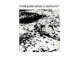 Você pode achar o cachorro? 