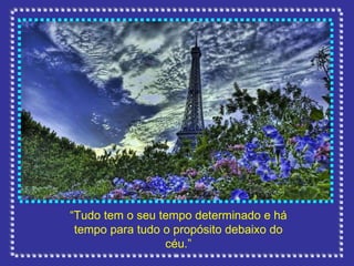 “ Tudo tem o seu tempo determinado e há tempo para tudo o propósito debaixo do céu.” 