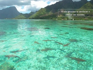 O rio precisa se arriscar e entrar no oceano.   