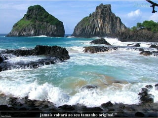 jamais voltará ao seu tamanho   original."   