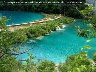 Diz-se que mesmo antes de um rio cair no oceano, ele treme de medo.  