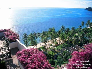 O rio não pode voltar. Ninguém pode voltar.   