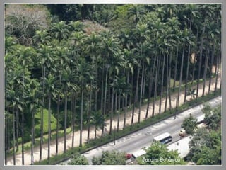 Jardim Botânico 