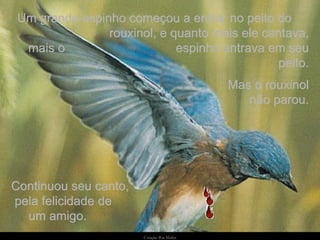 Um grande espinho começou a entrar no peito do  rouxinol, e quanto mais ele cantava, mais o  espinho entrava em seu peito. Continuou seu canto,  pela felicidade de  um amigo. Mas o rouxinol não parou. 