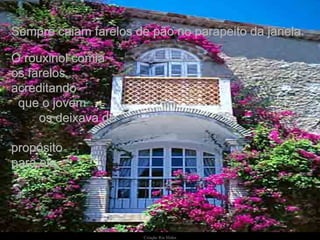 Sempre caiam farelos de pão no parapeito da janela. O rouxinol comia  os farelos, acreditando  que o jovem  os deixava de  propósito  para ele. 