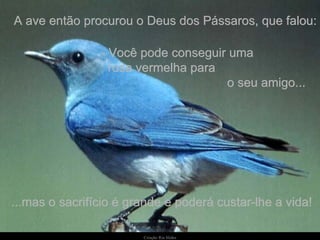 A ave então procurou o Deus dos Pássaros, que falou: - Você pode conseguir uma  rosa vermelha para  o seu amigo...  ...mas o sacrifício é grande e poderá custar-lhe a vida! 