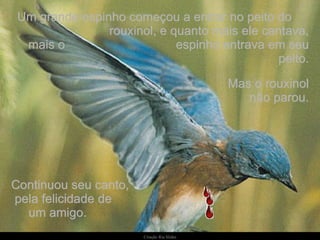 Um grande espinho começou a entrar no peito do  rouxinol, e quanto mais ele cantava, mais o  espinho entrava em seu peito. Continuou seu canto,  pela felicidade de  um amigo. Mas o rouxinol não parou. 