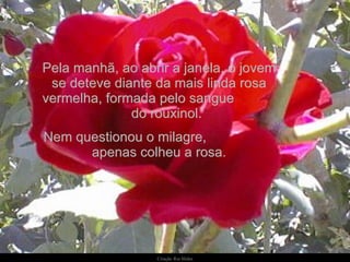 Pela manhã, ao abrir a janela, o jovem se deteve diante da mais linda rosa vermelha, formada pelo sangue  do rouxinol.  Nem questionou o milagre,  apenas colheu a rosa. 
