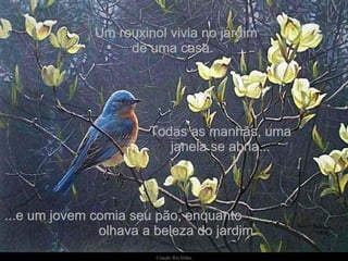 Um rouxinol vivia no jardim de uma casa. Todas as manhãs, uma janela se abria... ...e um jovem comia seu pão, enquanto  olhava a beleza do jardim. 