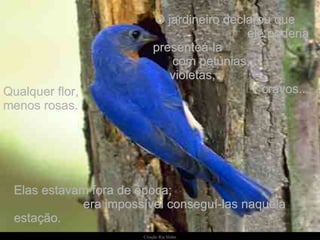 O jardineiro declarou que  ele poderia presenteá-la  com petúnias,  violetas,  cravos... Elas estavam fora de época;  era impossível conseguí-las naquela estação. Qualquer flor, menos rosas. 