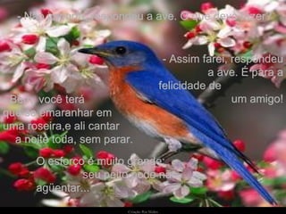Criação   Ria Slides - Não importa, respondeu a ave. O que devo fazer? - Bem, você terá  que se emaranhar em  uma roseira,e ali cantar  a noite toda, sem parar.  - Assim farei, respondeu a ave. É para a felicidade de  um amigo! O esforço é muito grande;  seu peito pode não agüentar... 