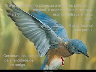 Criação   Ria Slides Um grande espinho começou a entrar no peito do  rouxinol, e quanto mais ele cantava, mais o  espinho entrava em seu peito. Continuou seu canto,  pela felicidade de  um amigo. Mas o rouxinol não parou. 