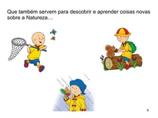 Que também servem para descobrir e aprender coisas novas sobre a Natureza… 