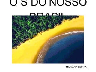 O S DO NOSSO BRASIL MARIANA HORTA 