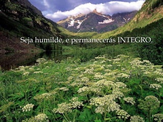 Seja humilde, e permanecerás INTEGRO. 