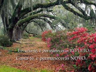 Esvazia-te, e permanecerás REPLETO.  Gasta-te, e permanecerás NOVO.  