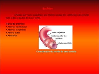 Artérias Artérias são vasos sanguíneos que trazem sangue dos ventrículos do coração para todas as partes do nosso corpo.  Tipos de artérias: Artérias pulmonares Artérias sistémicas Artéria aorta Arteríolas Constituição do tecido de uma artéria 