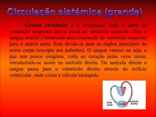 Grande circulação  é a designação dada à parte da circulação sanguínea que se inicia no ventrículo esquerdo. Dali, o sangue arterial é bombeado pela contracção do ventrículo esquerdo para a artéria aorta. Esta divide-se para os órgãos principais do nosso corpo (excepto aos pulmões). O sangue venoso ou seja, o que tem pouco oxigénio, volta ao coração pelas veias cavas, introduzindo-se assim na aurícula direita. Da aurícula direita o sangue passa para o ventrículo direito através do orifício ventricular, onde existe a válvula tricúspide. 