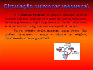 A  Circulação Pulmonar  ou pequena circulação inícia-se na artéria pulmonar, seguindo pelos ramos das artérias pulmonares, arteríolas pulmonares, capilares pulmonares, vénulas pulmonares, veias pulmonares e desagua na aurícula esquerda do coração. Na sua primeira porção, transporta sangue venoso. Nos capilares pulmonares o sangue é saturado em oxigénio, transformando-se em sangue arterial. 