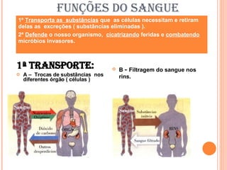O Sangue | PPT