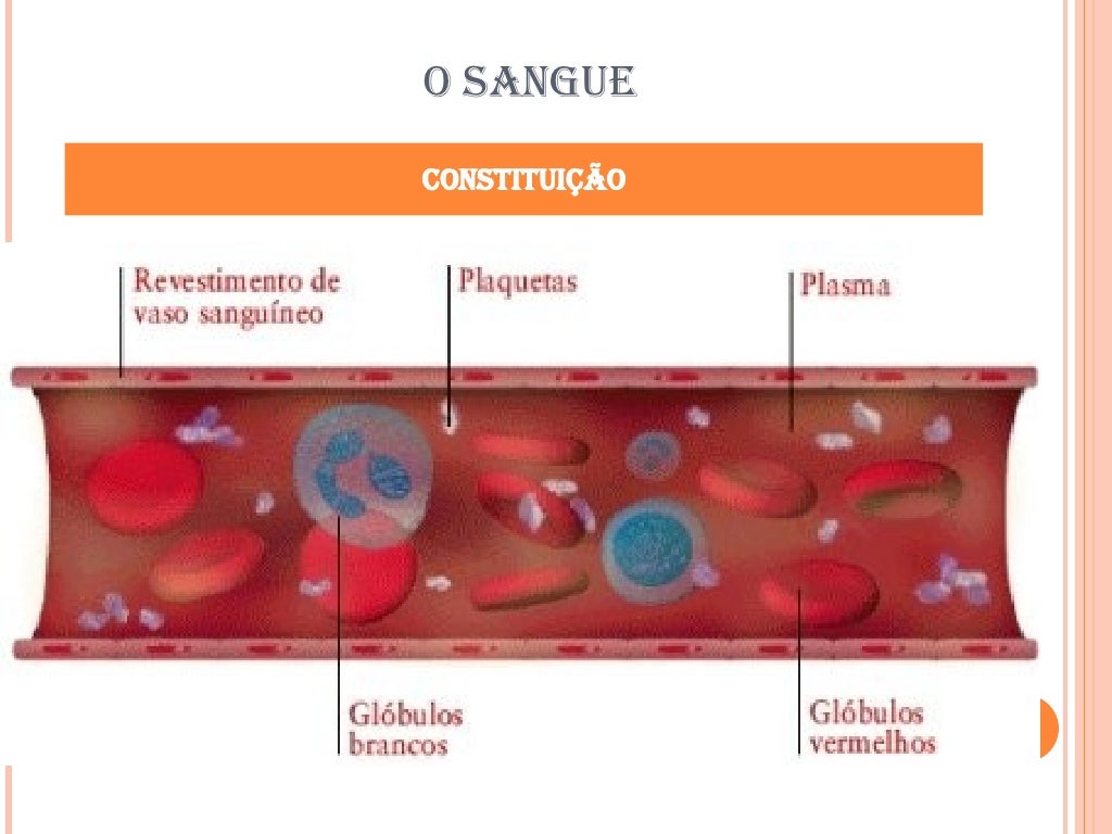 O Sangue