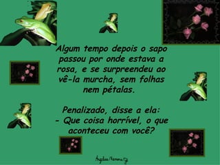 Algum tempo depois o sapo passou por onde estava a rosa, e se surpreendeu ao vê-la murcha, sem folhas nem pétalas.  Penalizado, disse a ela: -  Que coisa horrível, o que aconteceu com você? 