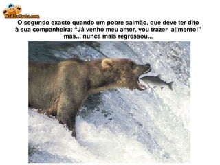 O segundo exacto quando um pobre salm ão, que deve ter dito à sua companheira: “Já venho meu amor, vou trazer  alimento!” mas... nunca mais regressou... 