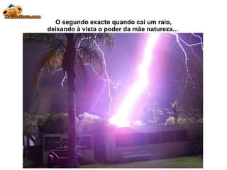 O segundo exacto quando cai um raio, deixando à vista  o poder da mãe natureza...  