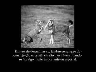 Em vez de desanimar-se, lembre-se sempre de  que rejeição e resistência são inevitáveis quando  se faz algo muito importante ou especial. 