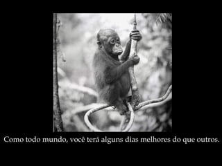 Como todo mundo, você terá alguns dias melhores do que outros. 