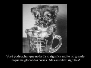 Você pode achar que nada disto significa muito no grande  esquema global das coisas...Mas acredite: significa! 