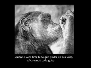 Quando você tirar tudo que puder da sua vida,  saboreando cada gota, 