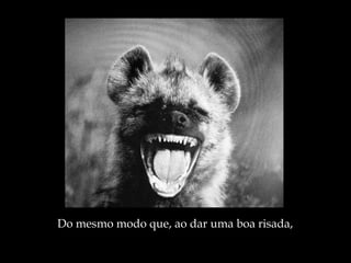 Do mesmo modo que, ao dar uma boa risada, 