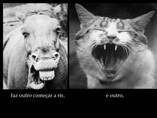 faz outro começar a rir, e outro, 