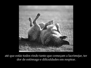 até que estão todos rindo tanto que começam a lacrimejar, ter  dor de estômago e dificuldades em respirar. 