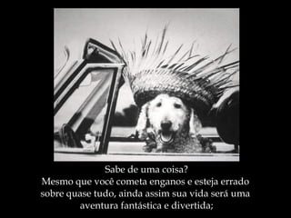 Sabe de uma coisa? Mesmo que você cometa enganos e esteja errado  sobre quase tudo, ainda assim sua vida será uma  aventura fantástica e divertida; 
