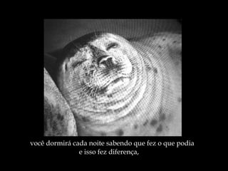 você dormirá cada noite sabendo que fez o que podia  e isso fez diferença, 