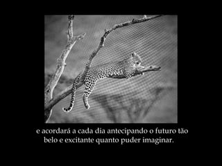 e acordará a cada dia antecipando o futuro tão  belo e excitante quanto puder imaginar. 