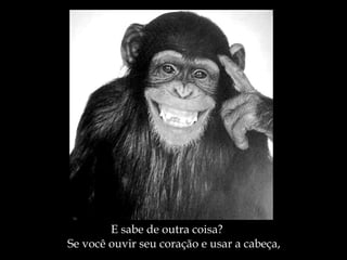 E sabe de outra coisa? Se você ouvir seu coração e usar a cabeça, 