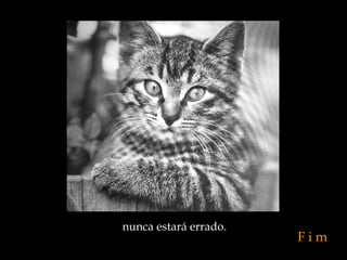 nunca estará errado. F i m 