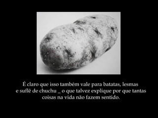 É claro que isso também vale para batatas, lesmas  e suflê de chuchu _ o que talvez explique por que tantas coisas na vida não fazem sentido. 