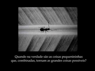 Quando na verdade são as coisas pequenininhas que, combinadas, tornam as grandes coisas possíveis? 