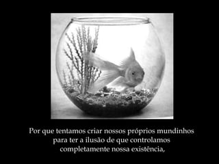 Por que tentamos criar nossos próprios mundinhos  para ter a ilusão de que controlamos  completamente nossa existência, 