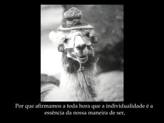 Por que afirmamos a toda hora que a individualidade é a  essência da nossa maneira de ser, 